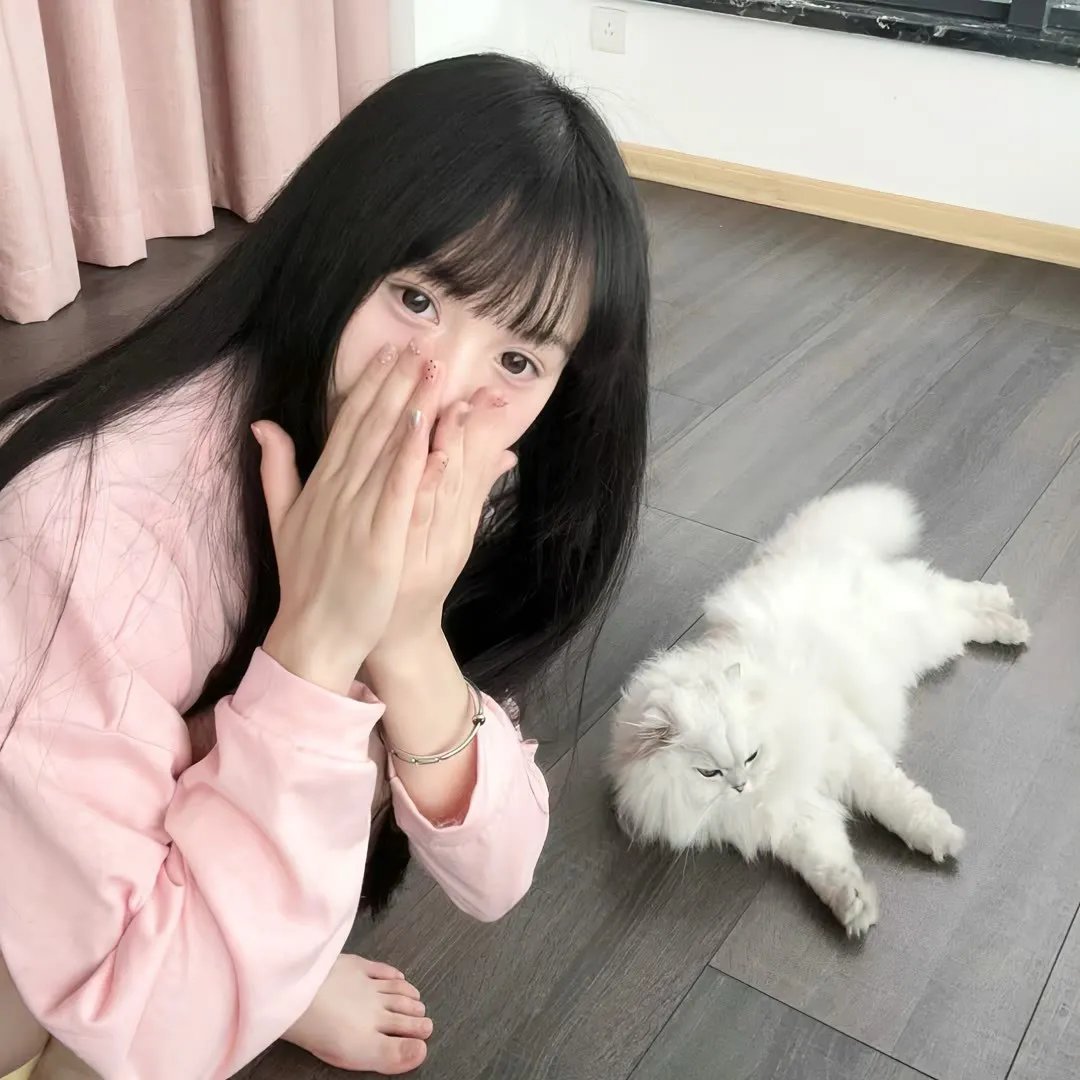 森林里的熊先生