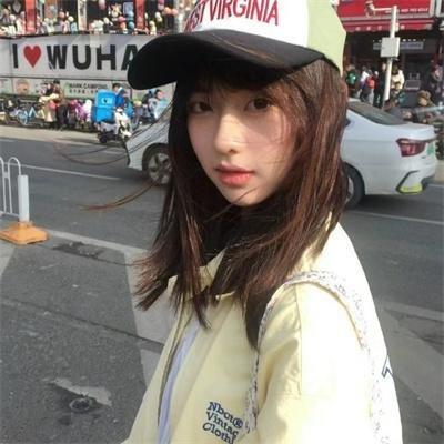 当哈维遇见鲍勃